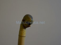 Exposición el tiempo de la Crisálida